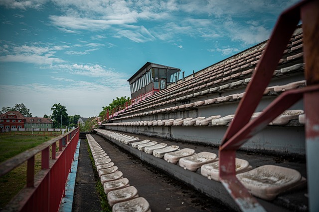 他们已经证 他们已经证