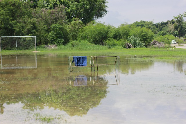 并非没有机 并非没有机