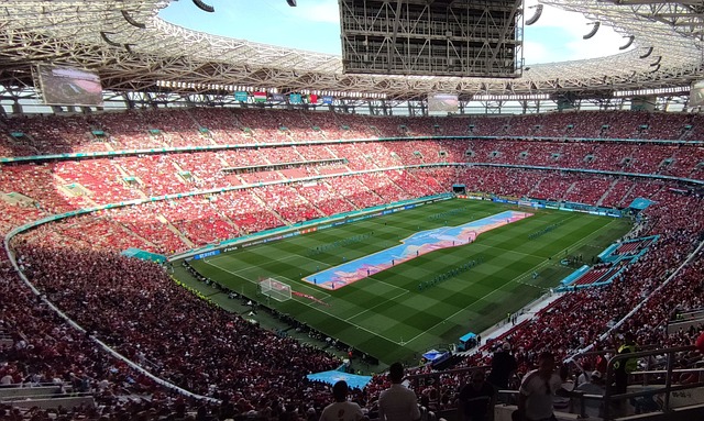 疑为他在五 疑为他在五