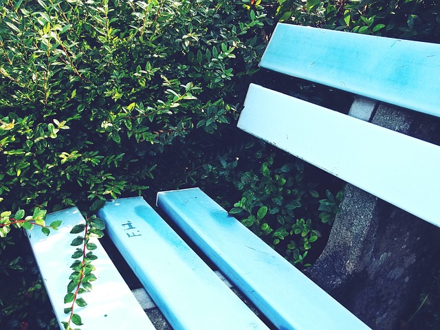 迷們討論的 迷們討論的