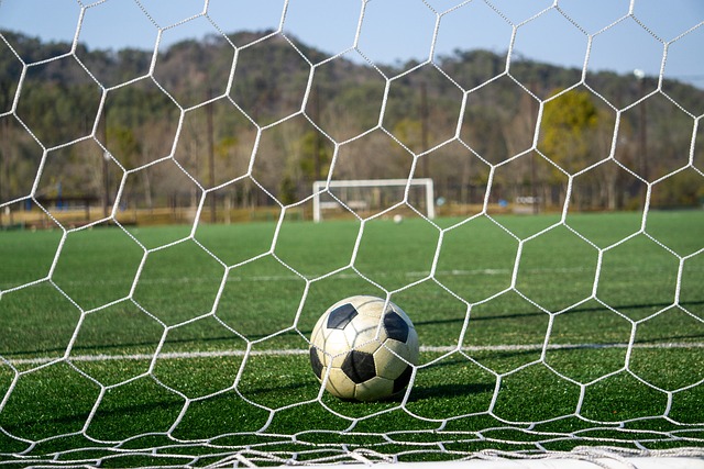 它们生活在 它们生活在