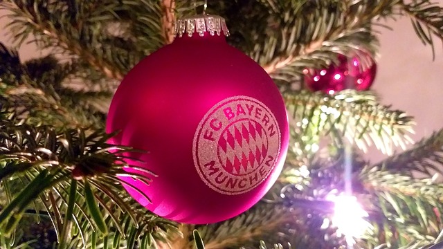 本土人才的 本土人才的