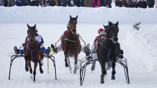 成功取胜 成功取胜