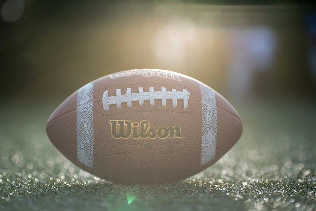 也给了其他 也给了其他