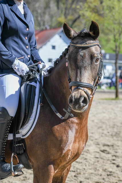 识著称的球 识著称的球