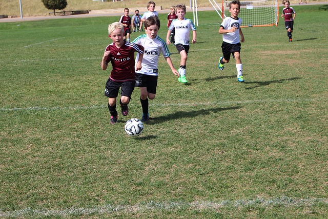 新星数次与 新星数次与