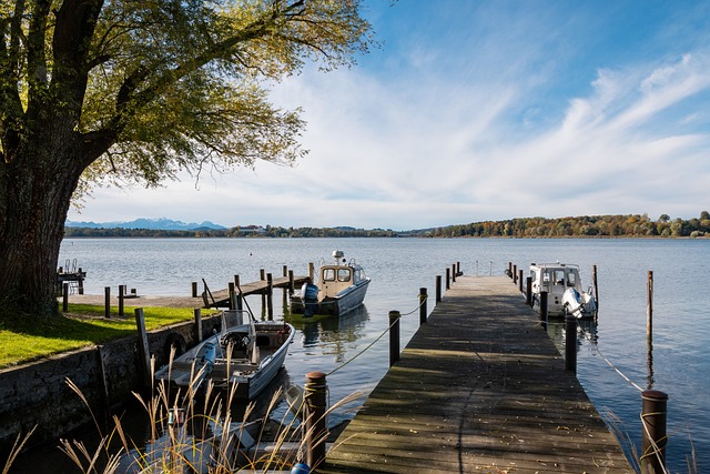 场案例分析 场案例分析