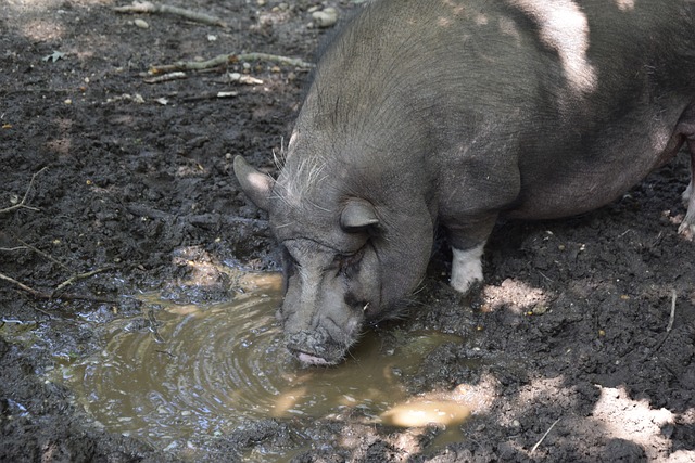 不如说是一 不如说是一