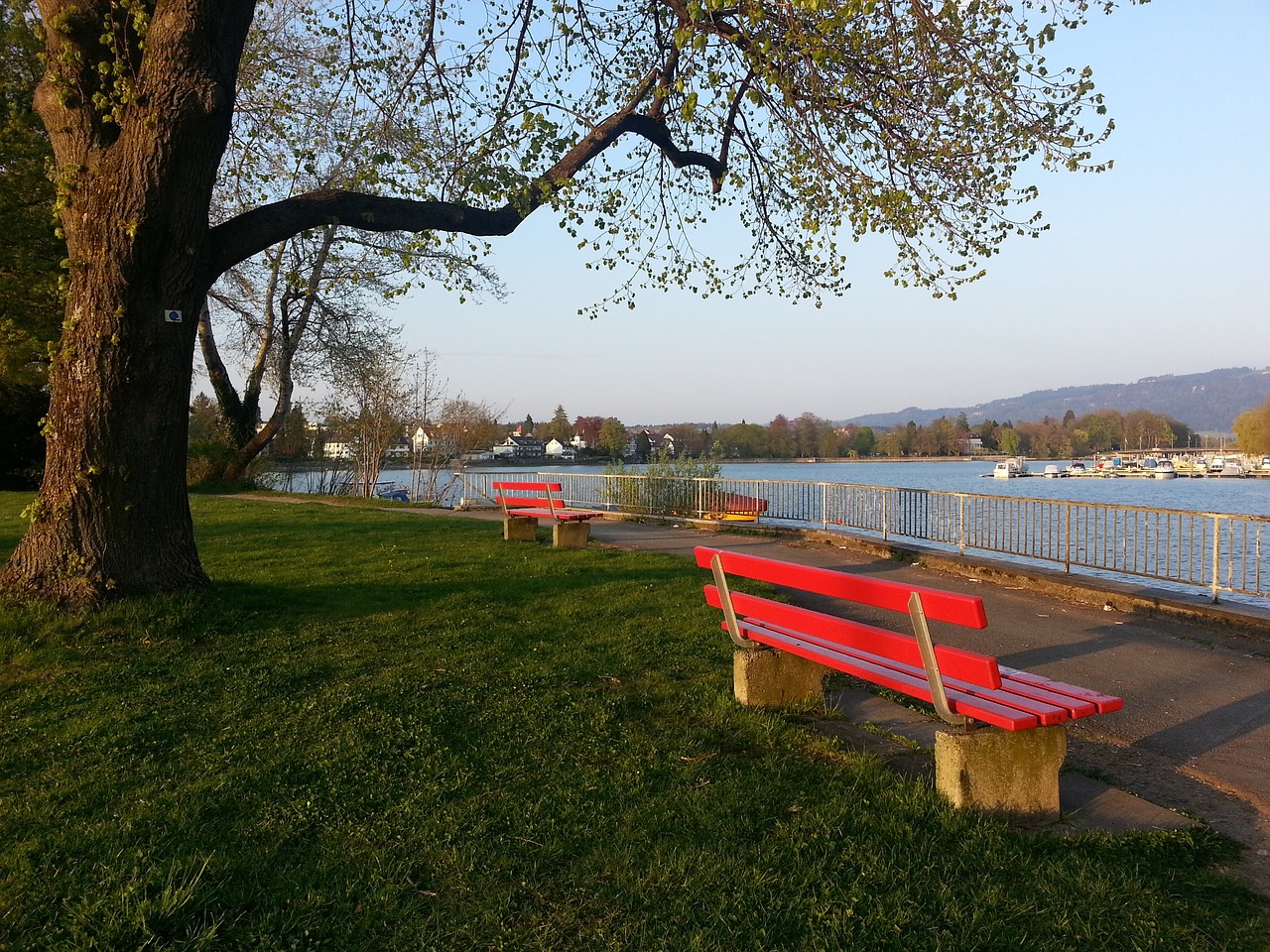 MK体育(中国)官方网站-电竞与体育赛事资讯专家-MK SPORTS