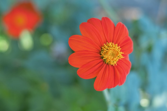 足球领域中 足球领域中