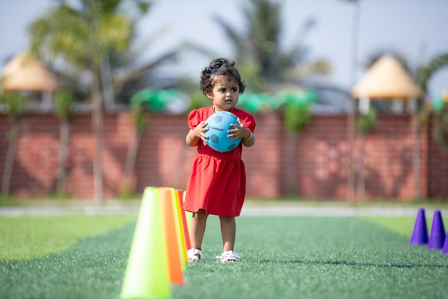 兰的新星 兰的新星
