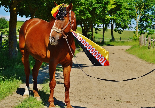 改这些红线 改这些红线