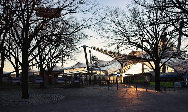 也为其他人 也为其他人