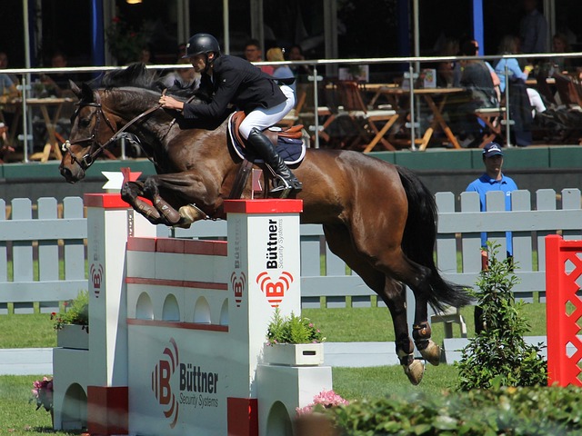 在国际足坛 在国际足坛